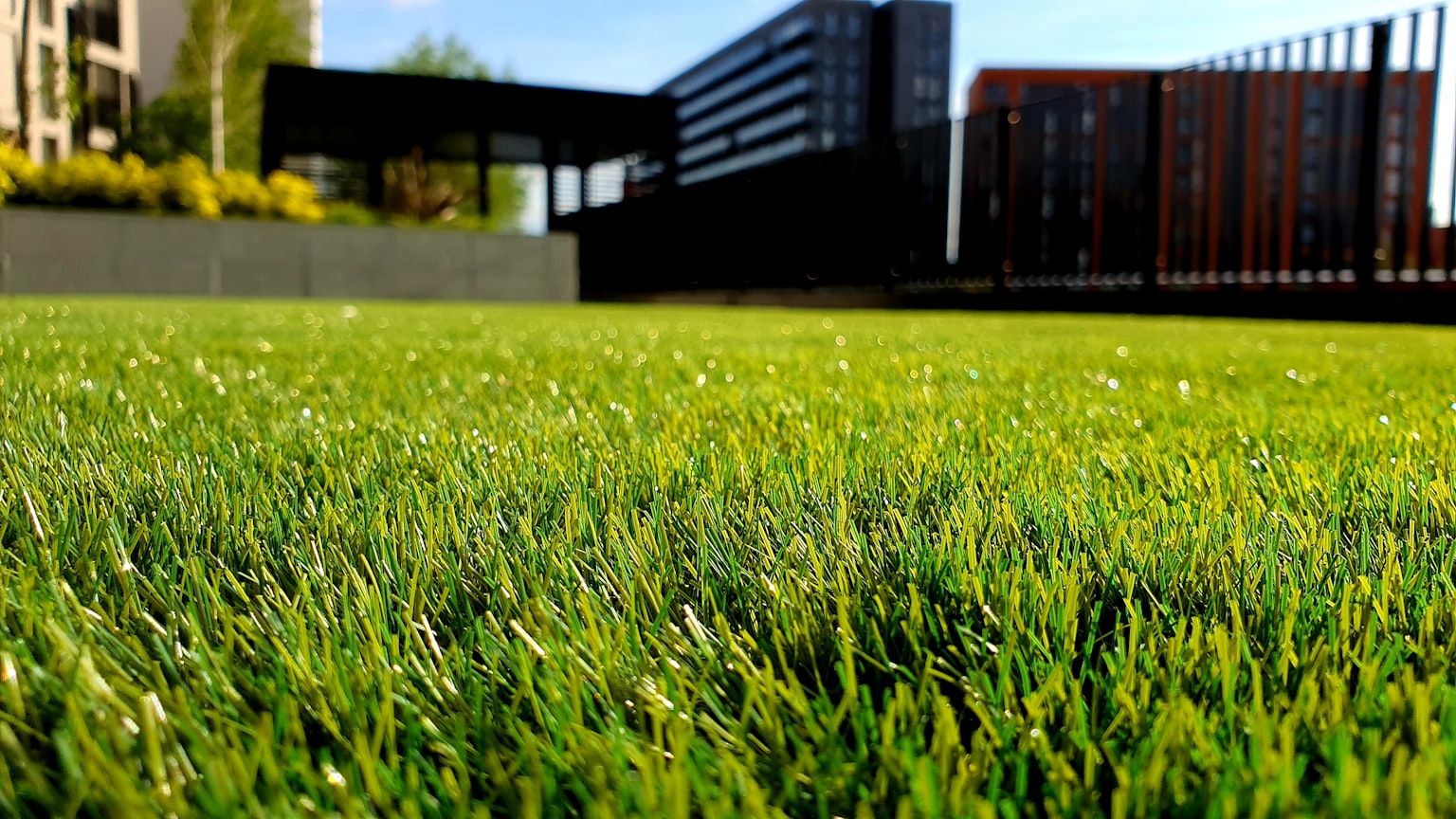 Freshly laid lawn and planting in front of a newly completed building