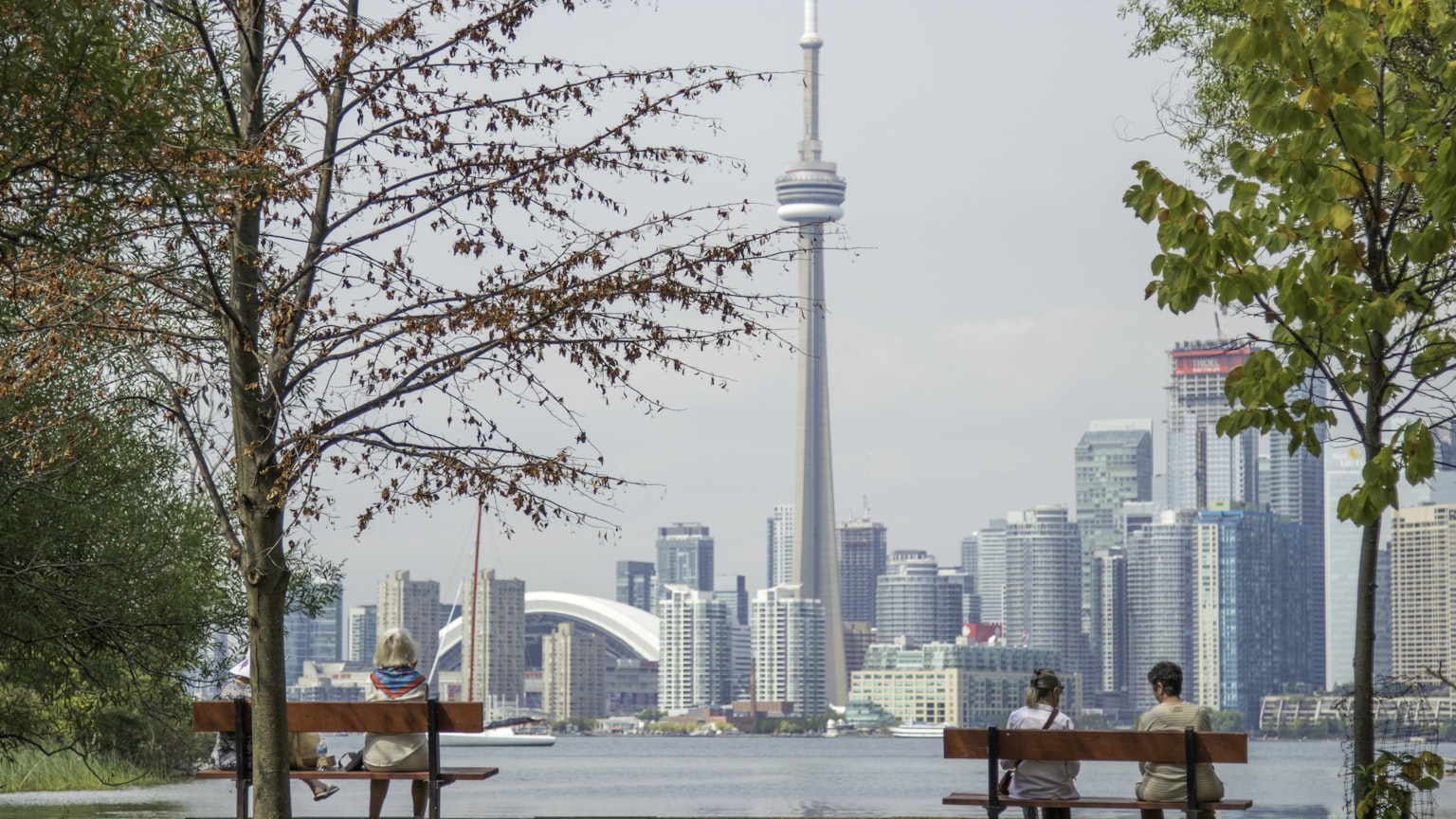 A city skyline with construction cranes seen from a park